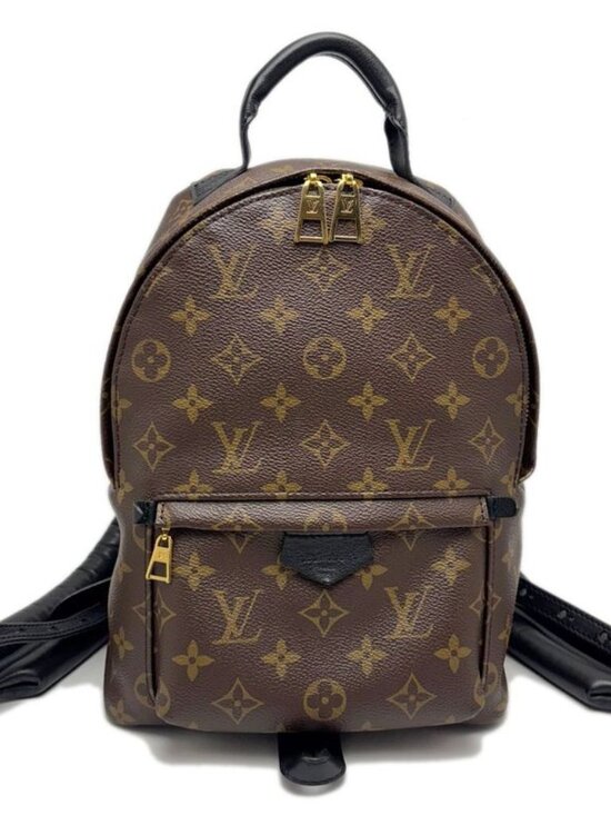Louis Vuitton Backpack Monogram Palm Spring PM main image 11